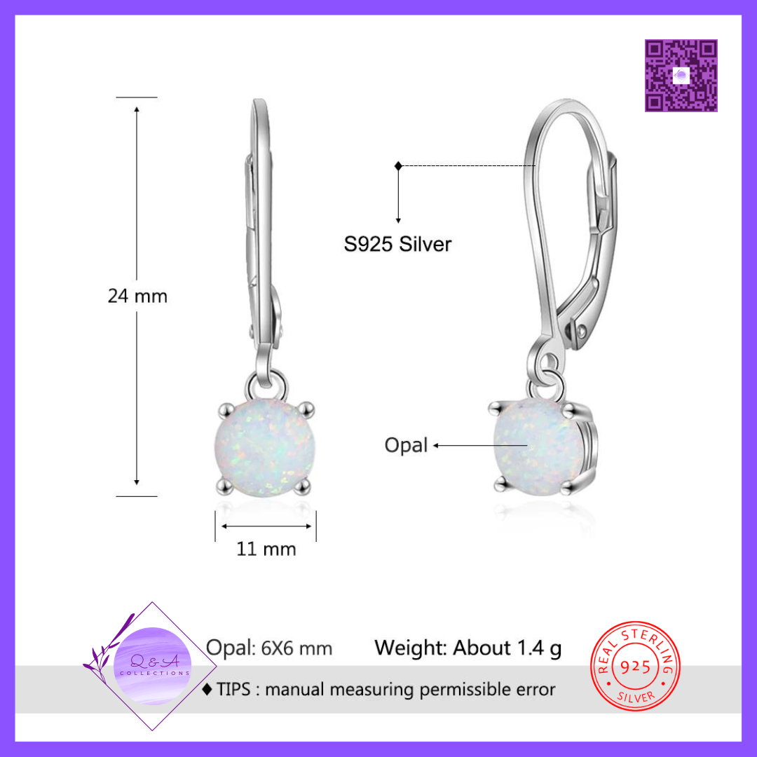 925 Sterling Silver Round Hoop Earrings